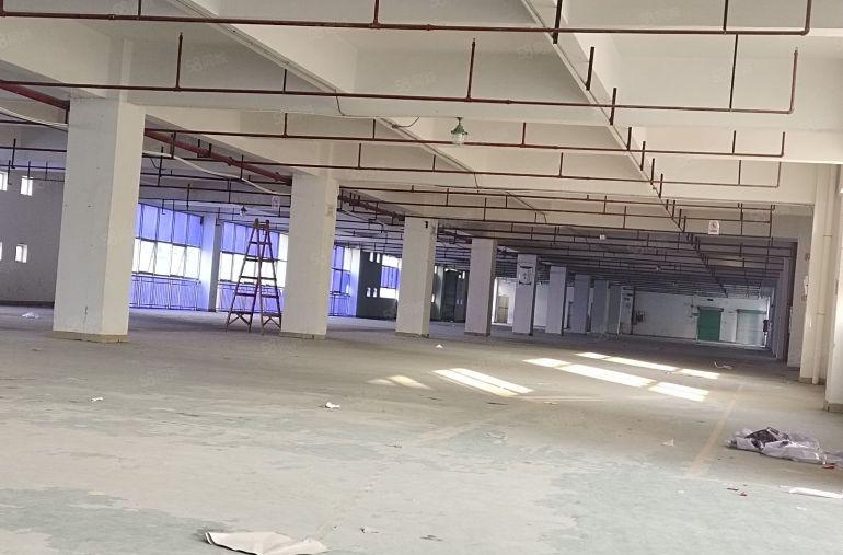 一手业主合同十年！龙岗平湖新厦工业城2800平仓库厂房可分租