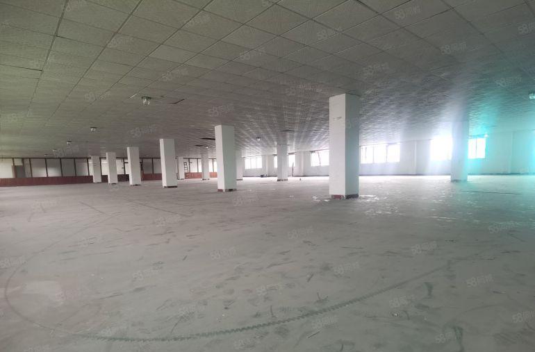 平湖富民工业区独门独院厂房20000平方出租可分租