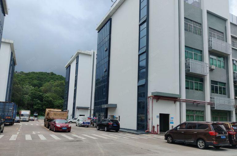 龙岗吉祥地铁口独栋楼上1000平厂房出租原房东实际面积易招工