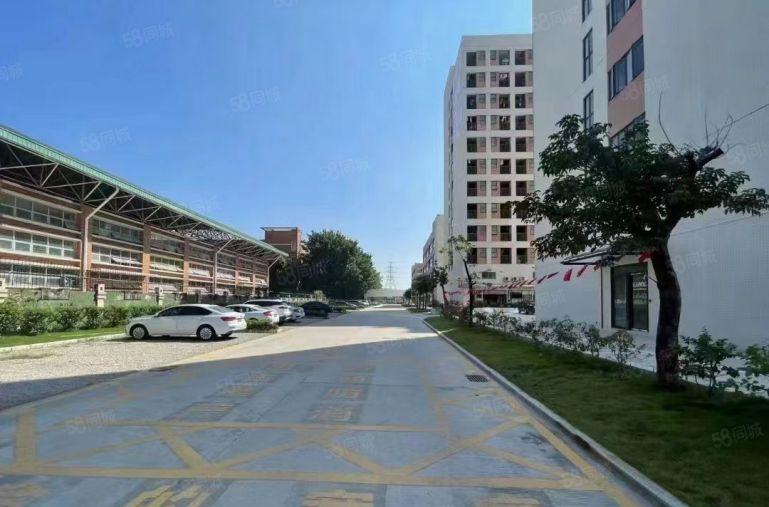 横岗红本独栋8000平，单层2000平可以分厂房仓库低价出租