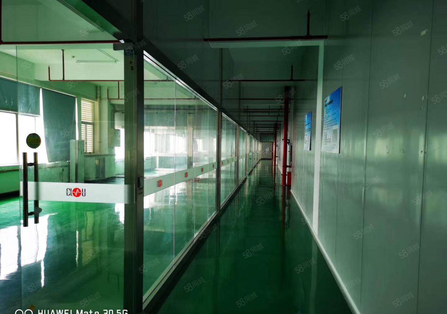 S龙岗中心城独院一楼1000二楼1000平方，可以任意分租