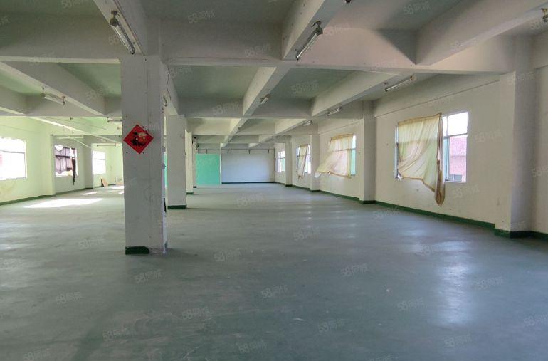 橫岗原房东街道六约塘坑独门独院厂房11800平，可分租