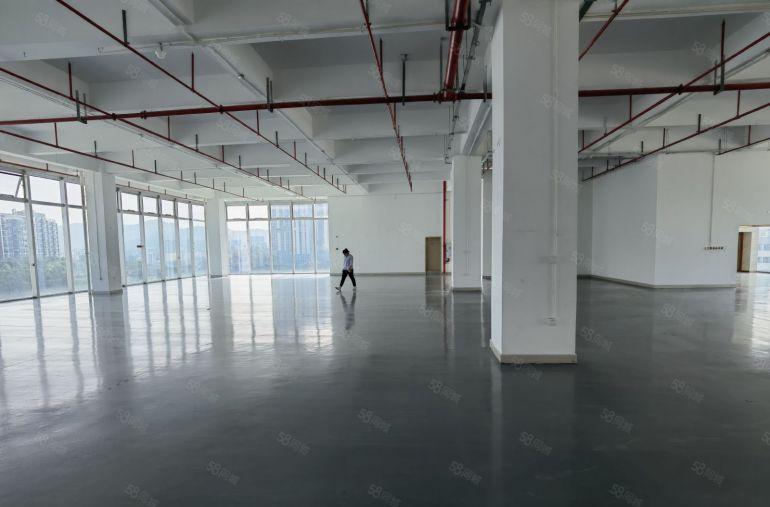 龙岗坂田地铁电商园厂房楼上1000平办公厂房仓库出租