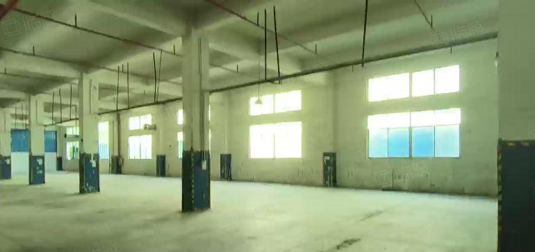 原房东红本独门独院工业区厂房出租一楼仓库出租厂房大小分租空地