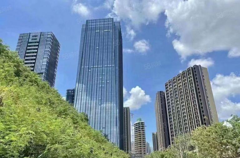 甲级写字楼！坂田地标！100平到1000平豪华办公低价出租