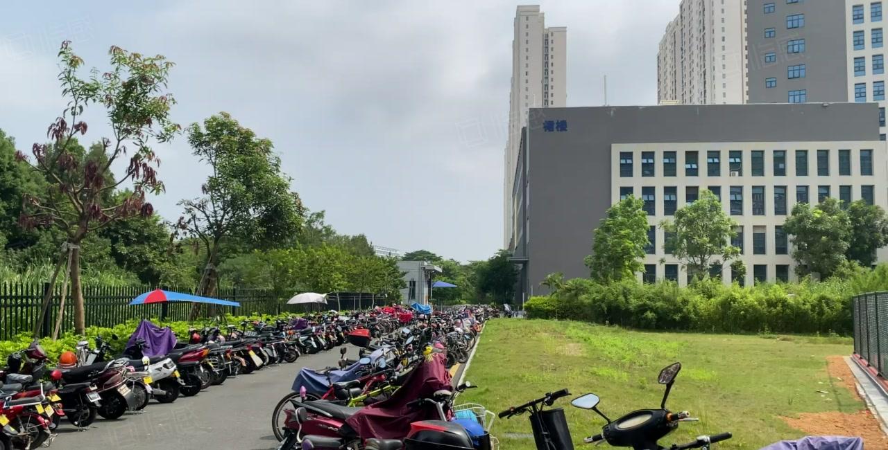 横岗六约新出红本独院厂房30000平出租大小分租带卸货平