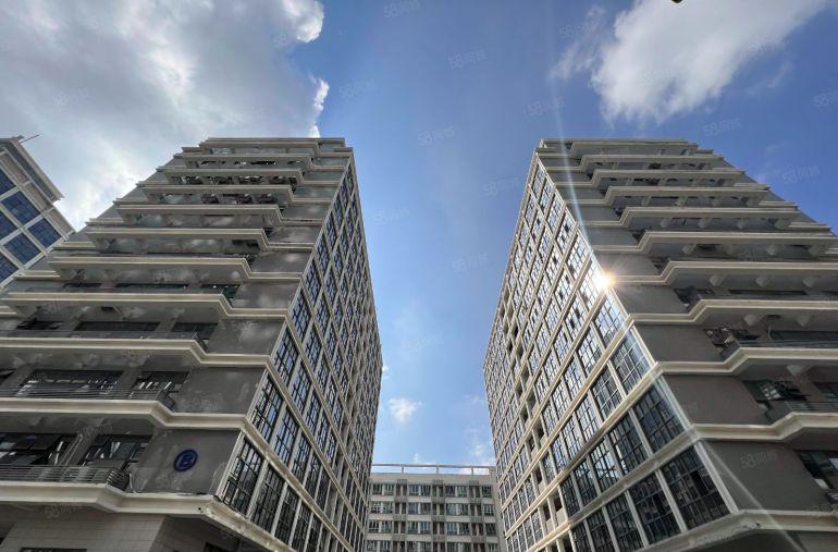 300平起分宝龙高新产业园5000平精装办公研发仓库厂房出租