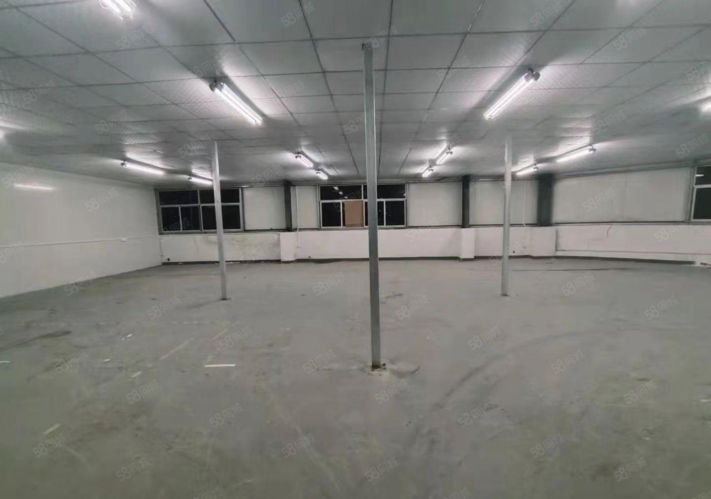 龙华坂田新出单层钢构厂房2200平实际面积出租