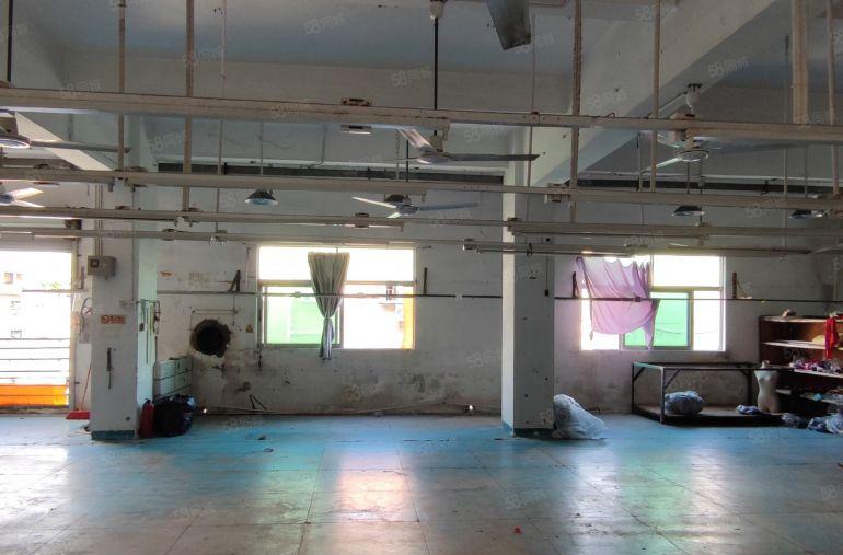 现成装修服装厂横岗工业区800平方，无转让费