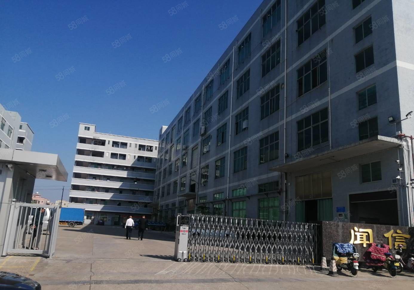 200平起租龙东独门独院原房东一二楼各1500平厂房带精装修