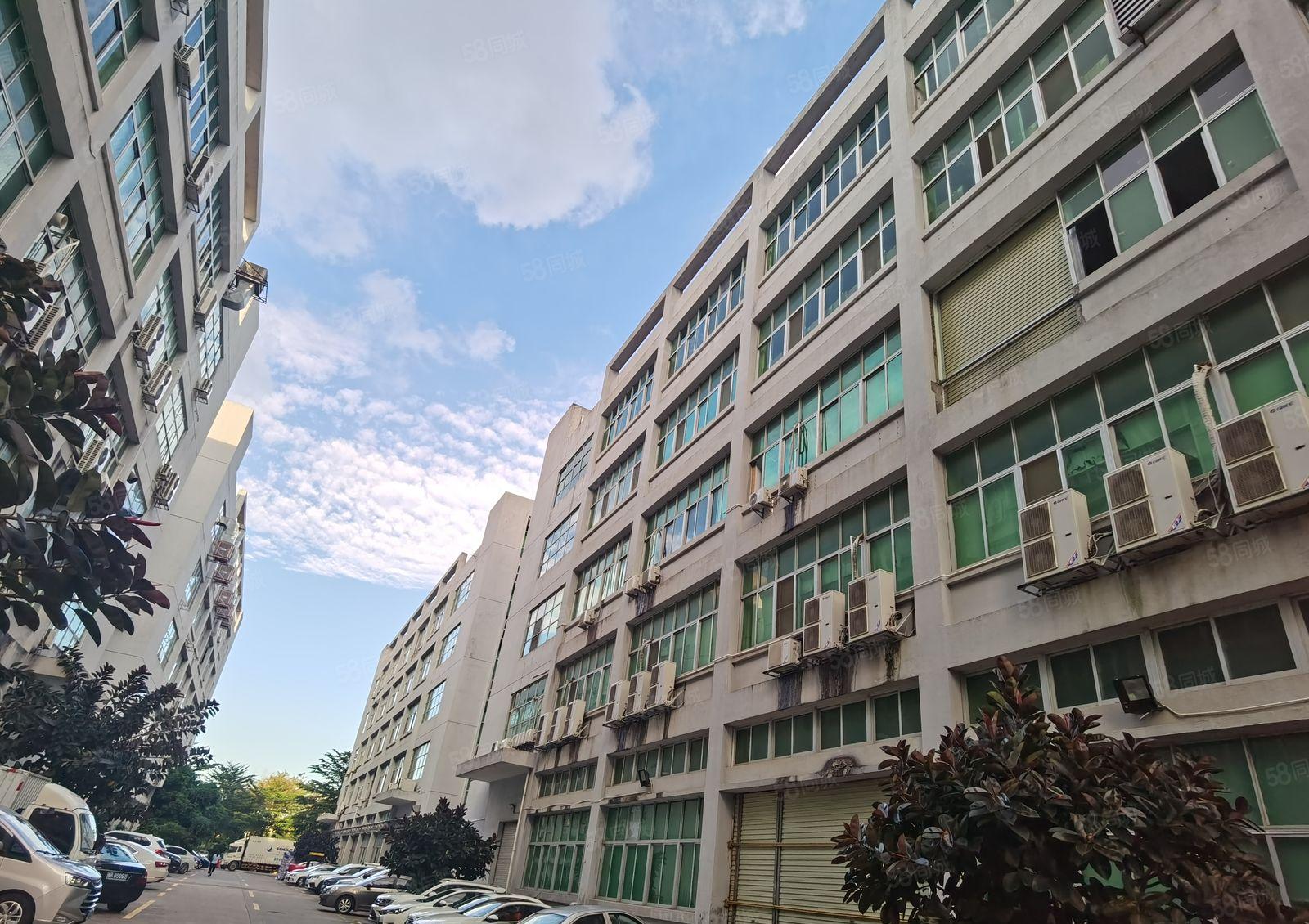 龙岗中心城独栋厂房9580平实际面积出租可按层2000平分租