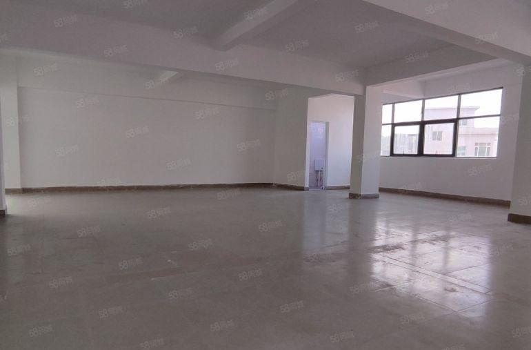 龙岗宝龙新塘围邻地铁口 新一批厂房出租独栋整租 可分租