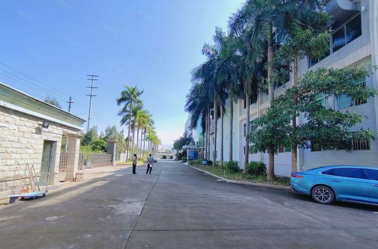 独院！可分租龙岗同乐新出3千平厂房仓库出租带卸货平台合同期长