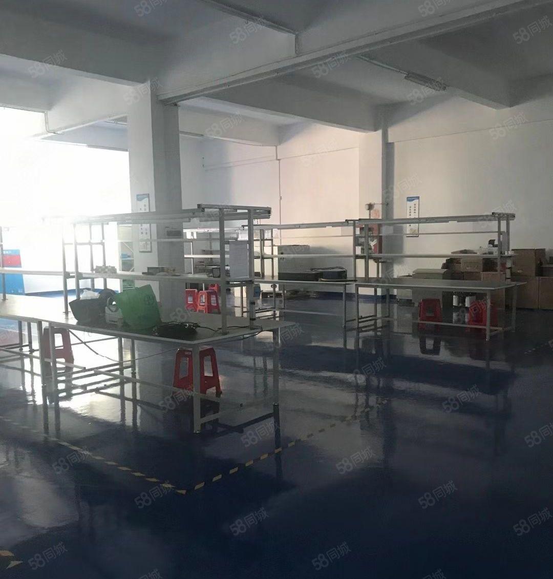 坂田吉华路边上楼上厂房1350平价格优惠可分租原房东