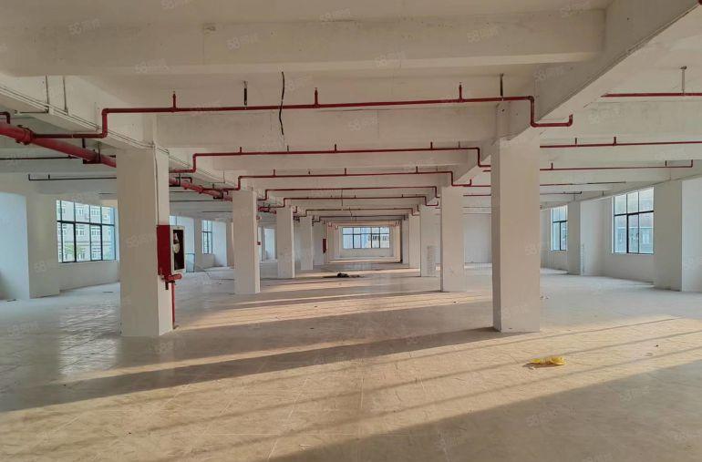 坪地原房东花园式独院10000平仓库厂房，低价出租