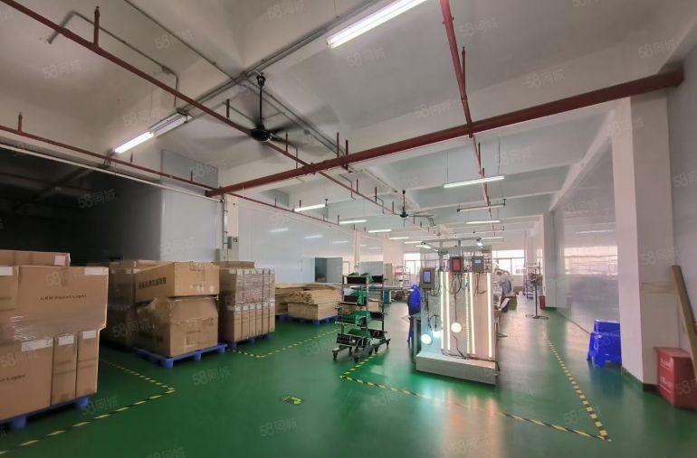 龙岗新生工业区一楼300平厂房仓库带标准两吨货梯出租