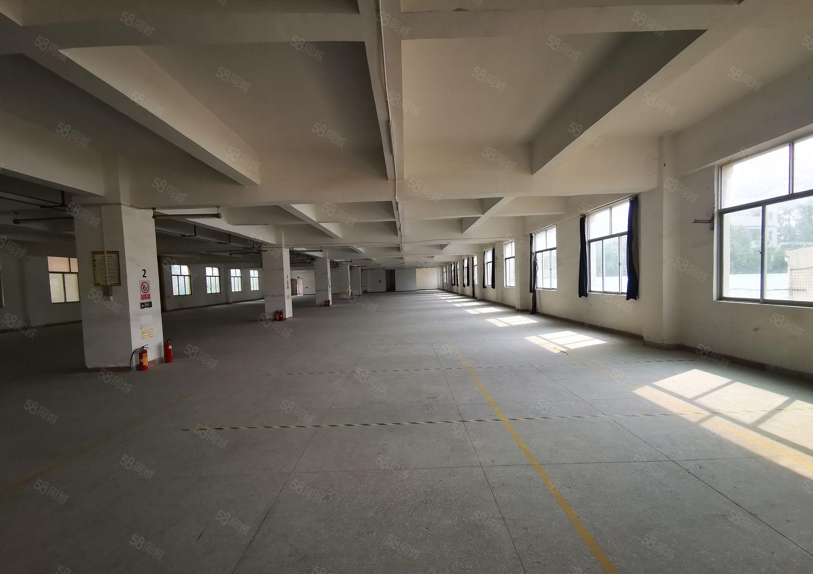 龙岗中心城大型工业园单层2000平带红本厂房仓库出租，可分租