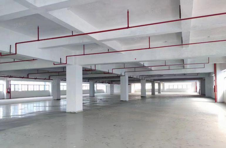 龙岗区同乐一楼300平方豪华装修小面积厂房出租