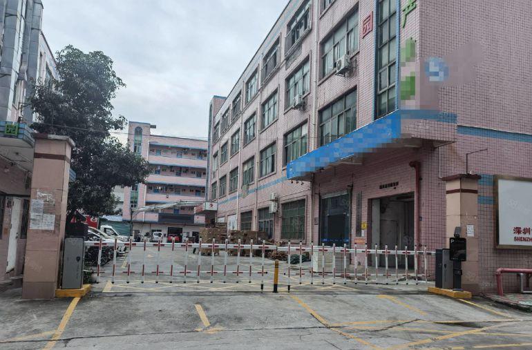 平湖独院新出一楼2100平方厂房仓库出租可分租空地大交通方便