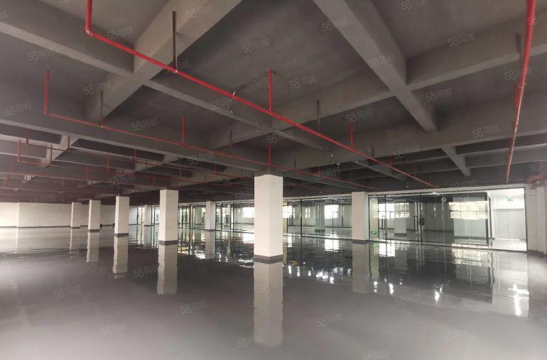 坂田地铁D口1000平电商园厂房出租 可做办公仓库