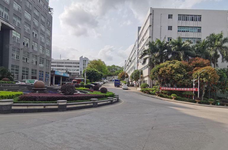 坂田上雪工业区1000平2000平带装修标准厂房出租仓库招租