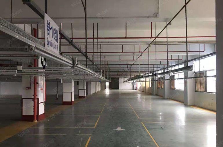 宝龙地铁口旁楼上3200平米带装修办公室仓库厂房出租