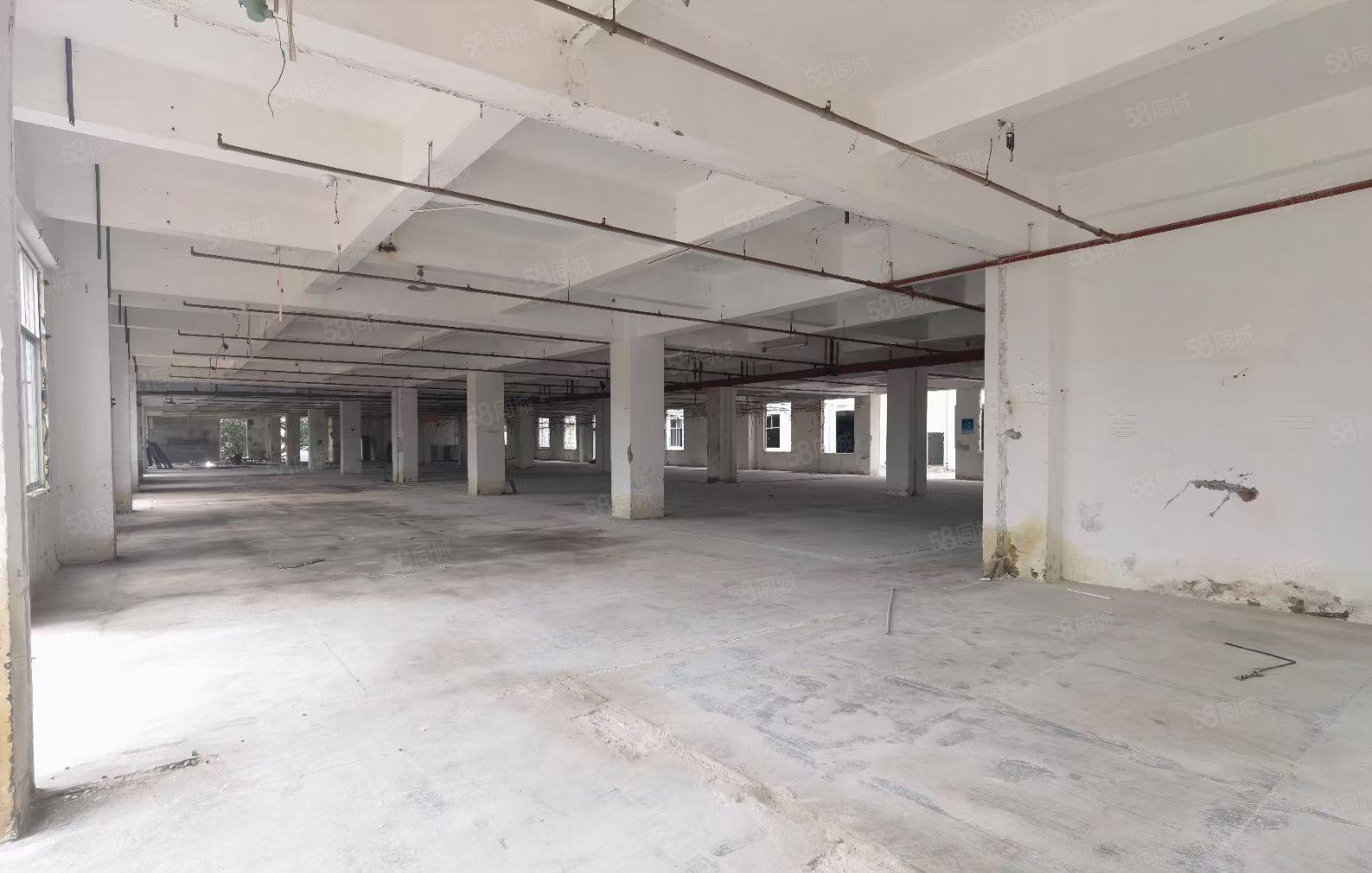 坂田雪象工业园厂房仓库单层2600平米大小分租出租