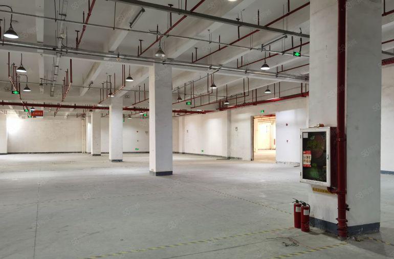 平湖附近仓库直租，可分租，海运集货仓.可提供装卸等配套服务。