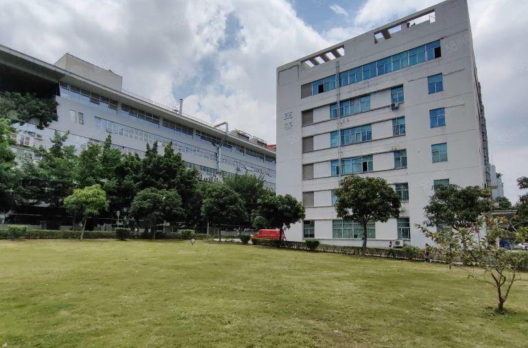 分租，龙岗坪地大型园区楼上1000平带精装修办公室厂房出租