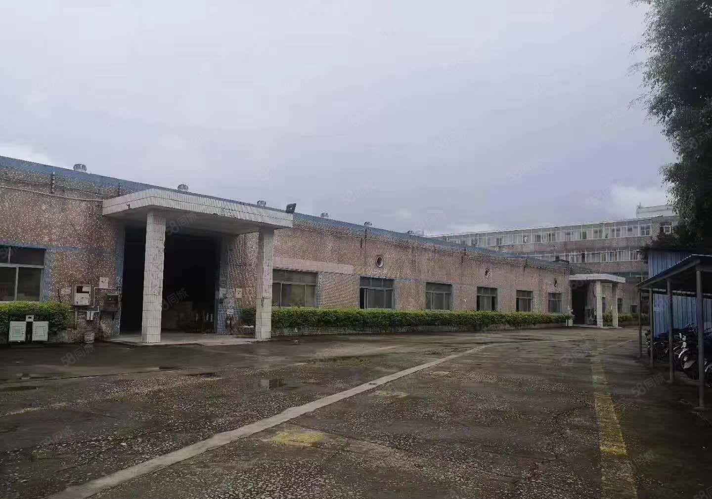 同乐钢结构一楼厂房出租500平1000平1500平3200平