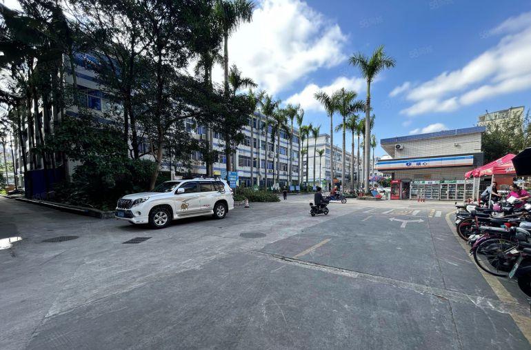 龙岗中心城原房东工业园楼上500平带装修办公室厂房出租