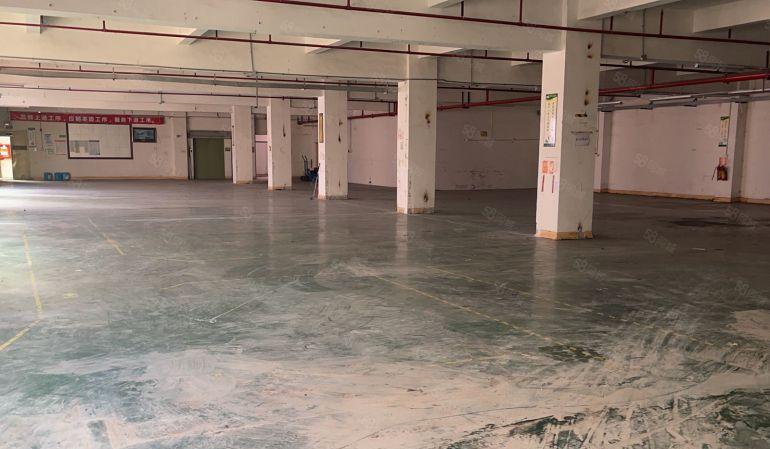 龙岗区南联爱联楼上1000平米精装修仓库厂房出租可分租价好谈