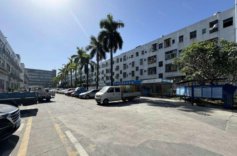 横岗六约300平方至5000平方厂房出租原房东楼仓库出租