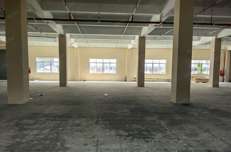 龙岗宝龙高新科技园区原房东红本厂房仓库6000平方大小可分租