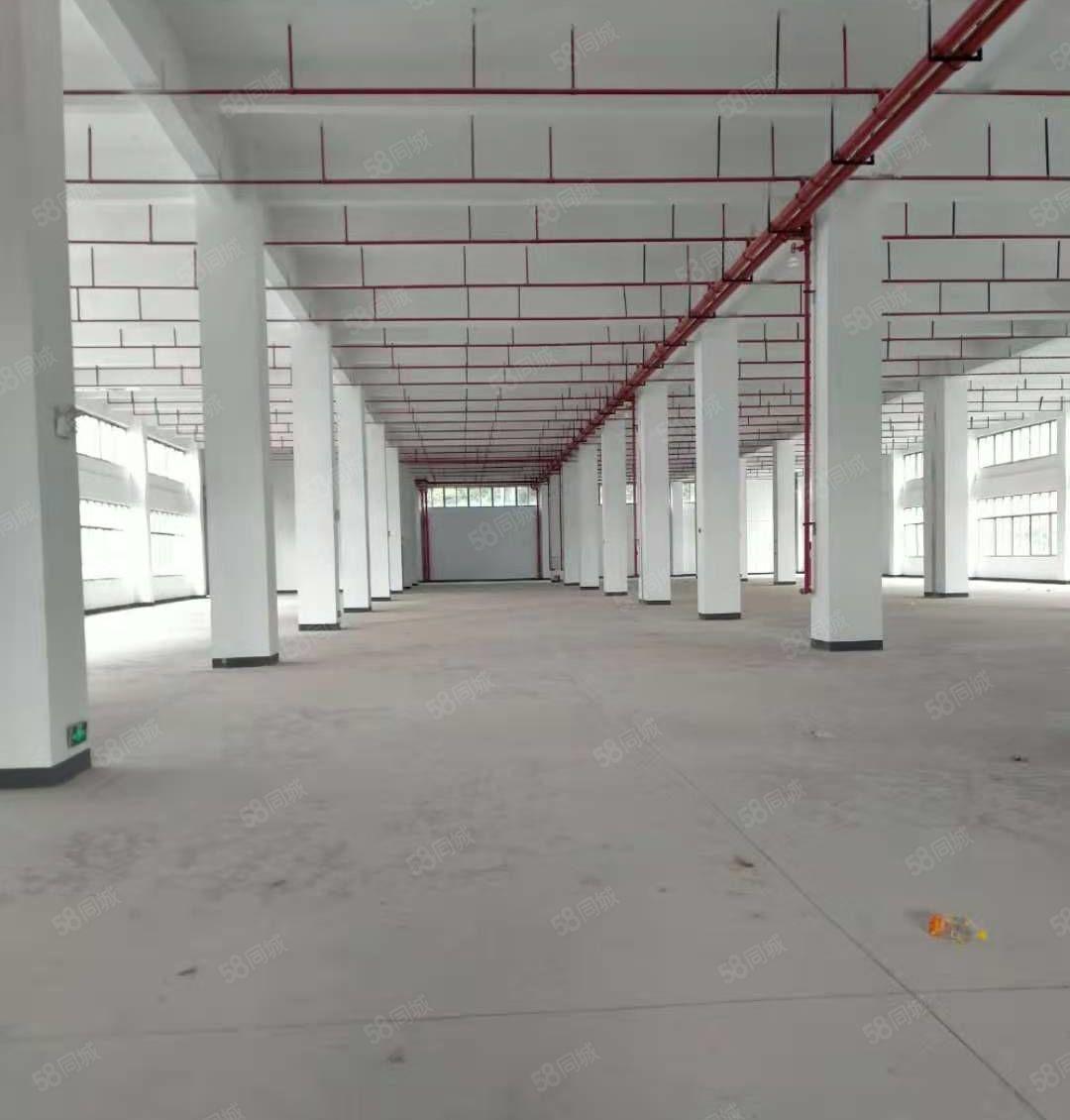 平湖华南城禾花地铁口三楼800平方出租300起分地铁口带装修