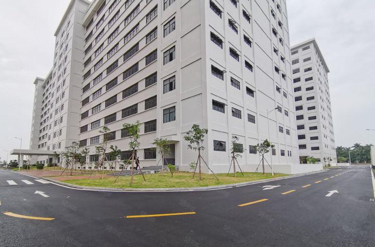 横岗大型产业园2000平厂房出租免租期12个月起研发办公仓库