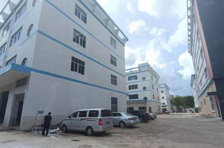 龙岗宝龙同乐楼上红本1000平厂房出租原房东仓库200起租