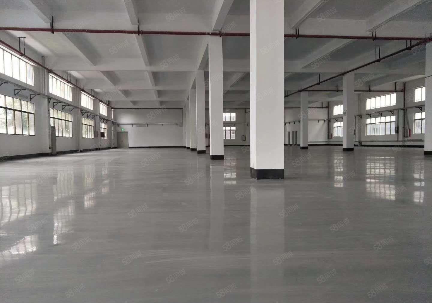 龙岗宝龙高新科技园楼上1000平原房东带精装红本厂房出租可分