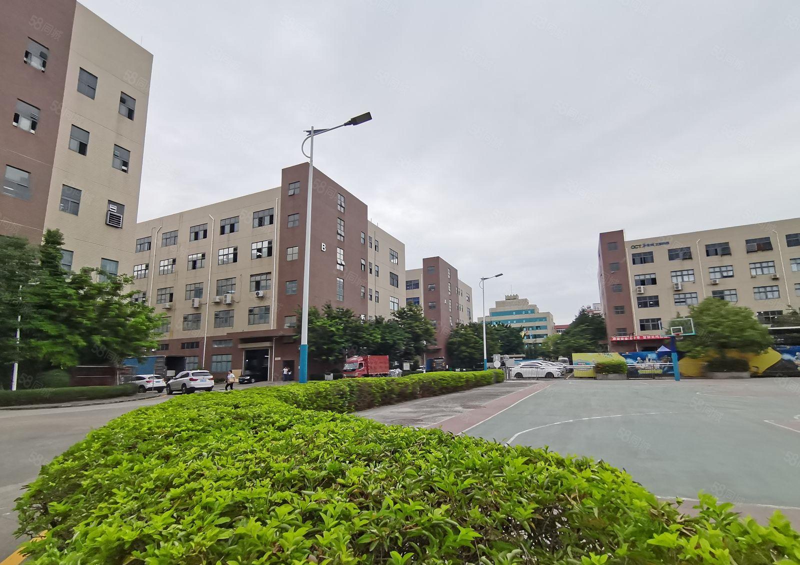 坂田杨美地铁口，电商园厂房小面积150平起至1000平。