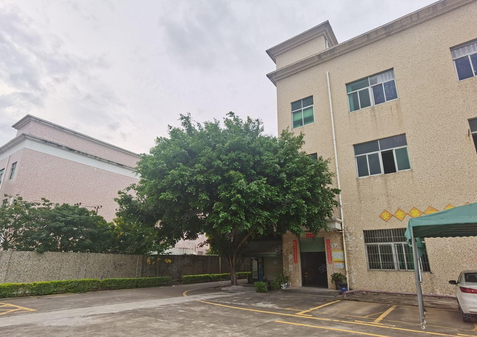 横岗大康工业区新出楼上1250平整层独院厂房出租空出二层任选