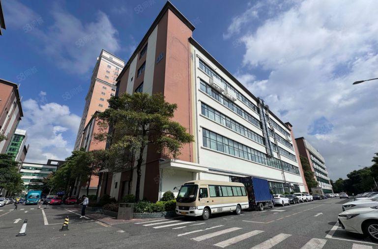 龙岗中心城厂房出租500平起租精装电商一楼仓库出租分租