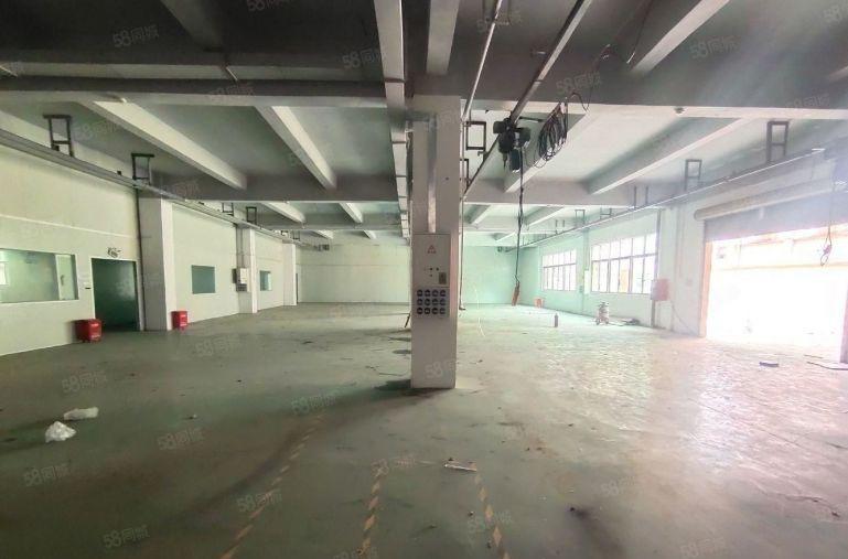 原房东无公摊！龙岗宝龙一楼新出2千平厂房仓库出租5百平起分租