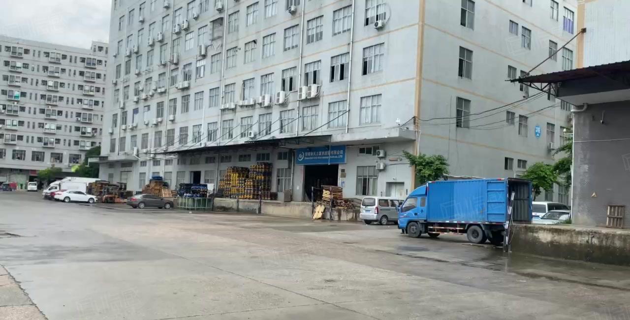 坂田五和天虹附近500平办公电商仓库厂房出租精装修