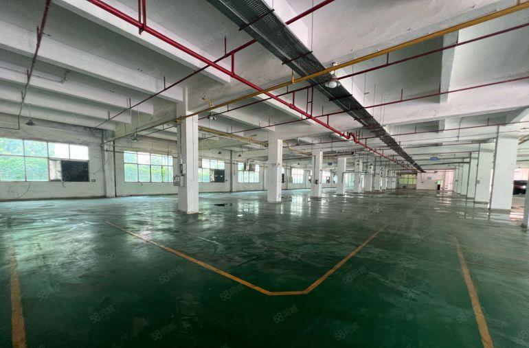 龙岗宝龙科技园原房东独院厂房仓库1500平出租场地大易招工