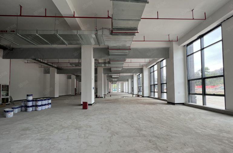 坂田高新工业园无公摊一楼980平层高6米可办注塑环评