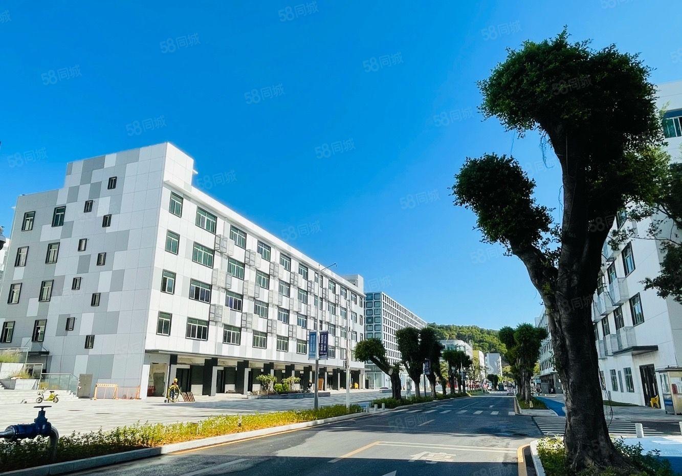 429平起租！龙岗区政府物业20万产业园，厂房出租，公寓包租