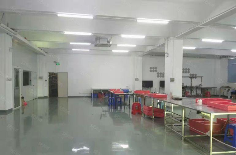 出租龙岗宝龙工业区800平标准厂房出租仓库招租300平起分租