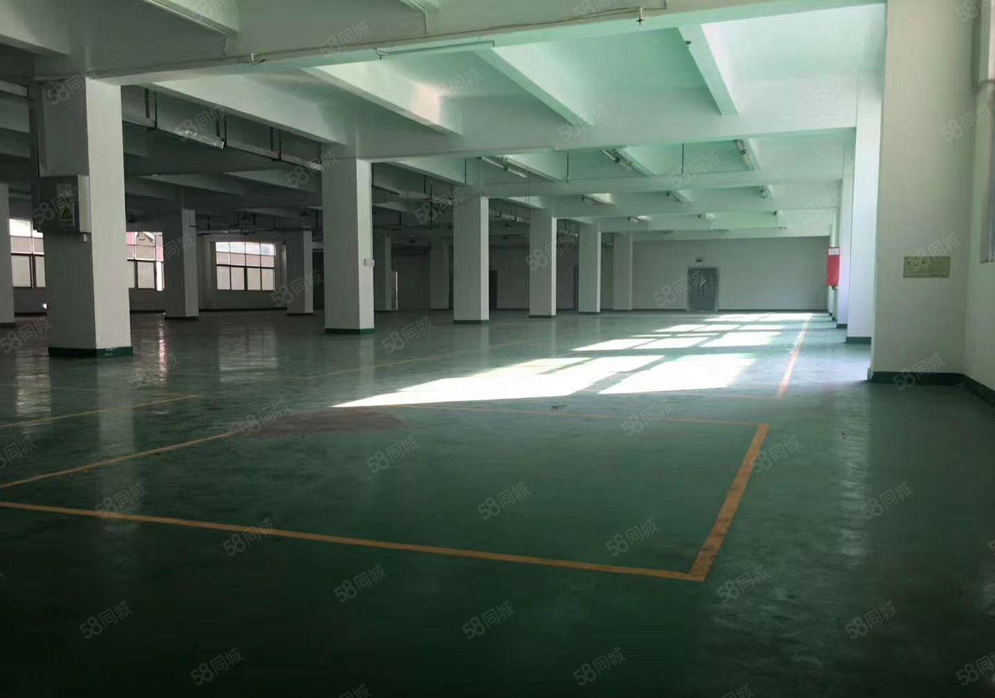 平湖辅城坳工业区新出4800平方独门独院厂房招租