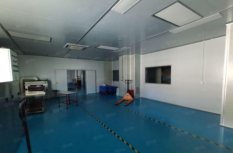 龙岗宝龙原房东无尘车间厂房出租500平起工业园工业仓库精装修