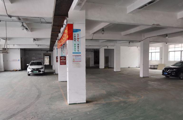 坂田 杨美地铁口 独院厂房6500平 宿舍60间厂房出租